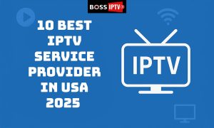 Best IPTV Service Providers in USA 2025